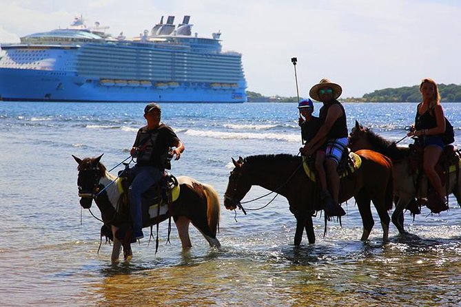 South Side Horseback Riding, Beach Break & Roundway Transfer - Horseback Riding Experience