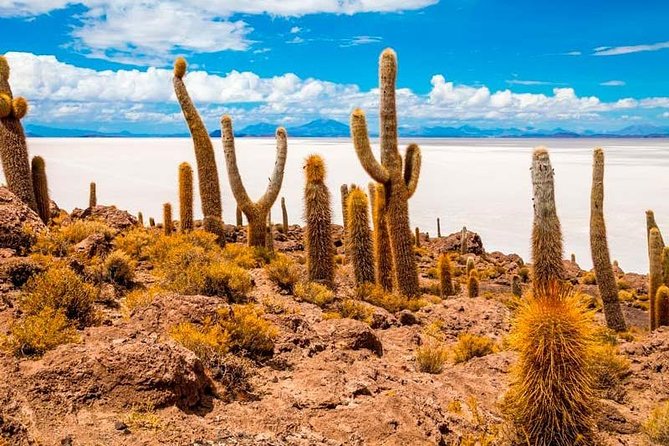 Spectacular Sunset and Stargazing in the Uyuni Salt Flat - Stargazing Adventure