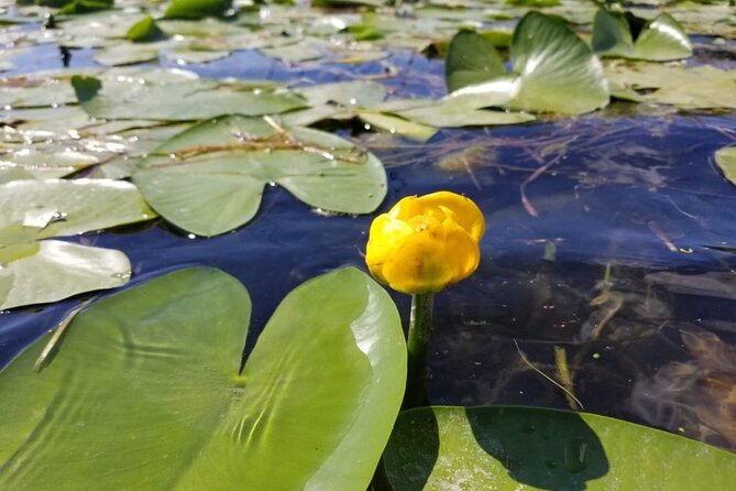 Stand up Paddle at Skadar Lake and Hiking From Valbona to Theth in 4 Days - Meeting Information