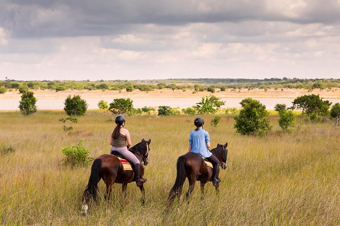 Standard Ride: Beach & Bush - Inclusions and Amenities