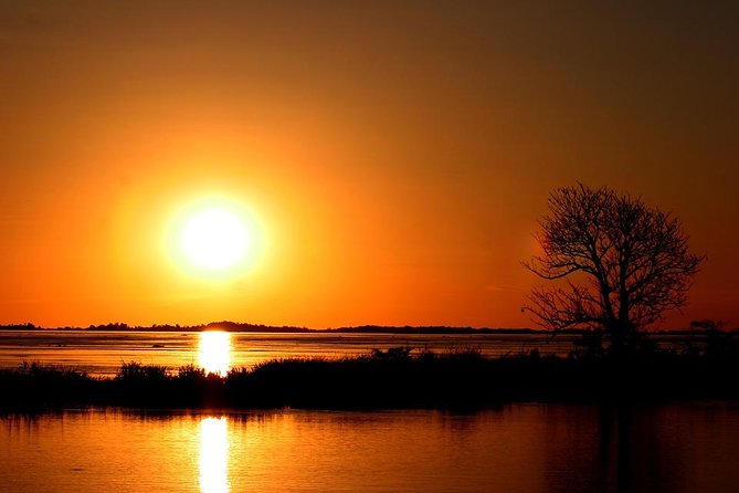 Standard Sunset Cruise - Wildlife Sightings