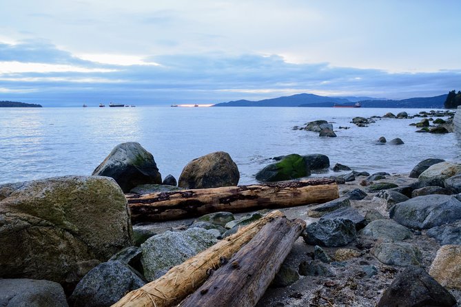 Stanley Park & English Bay Golden Hour Photography - Customer Feedback and Reviews