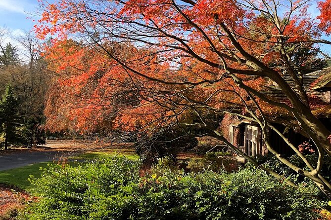 Stanley Park Horse-Drawn Tour - Scenic Highlights