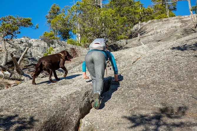 Stawamus Chief Hike & Local Brewery Tasting - Panoramic Views for Social Media Capture
