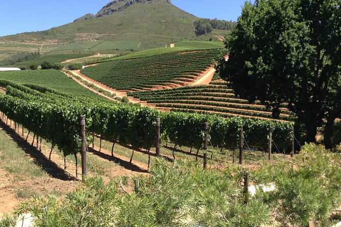 Stellenbosch Franschhoek Full-Day Tour With Cheese Tasting - Cheese Tasting Experience
