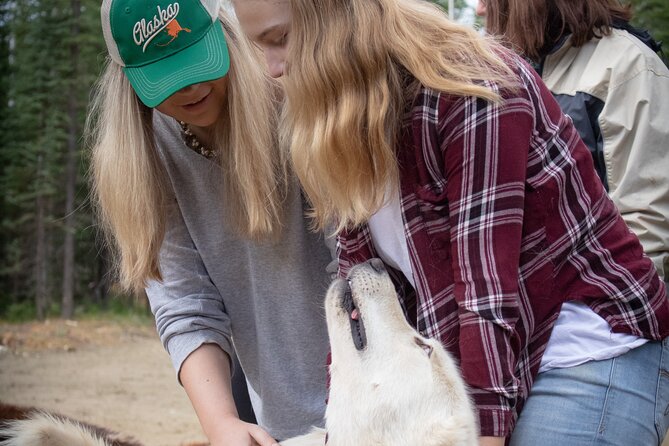 Summer Mushing Cart Ride & Kennel Tour - Alaskan Huskies and Mushing