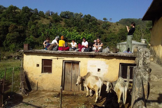 Sunrise View Trek in Rishikesh - Whats Included