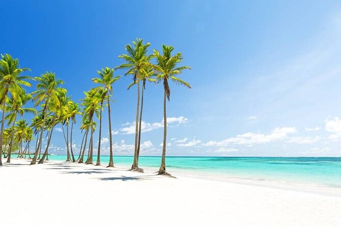 Sunscape Coco Punta Cana - Round Trip Shuttle-Punta Cana Airport - Accessibility