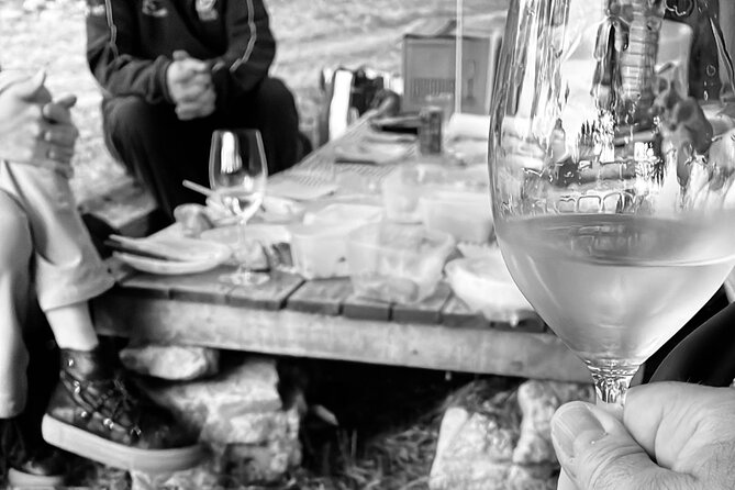 Sunset Among Vineyards With Tasting in Alicante (Min 6-12 People) - Viators Quality Travel Commitment