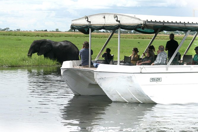 Sunset Cruise on Chobe River With Hotel Pickup From Kasane - Travelers Memorable Experiences