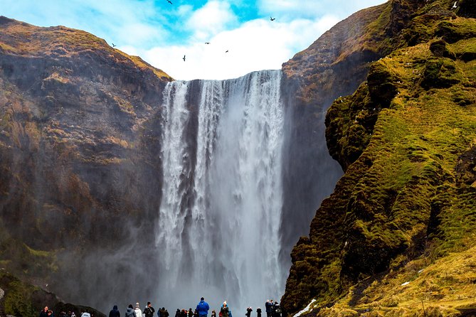 Supersaver: Small Group South Coast, Waterfalls & Glacier Hike and Northern Lights Adventure From Reykjavik - Meeting and Pickup