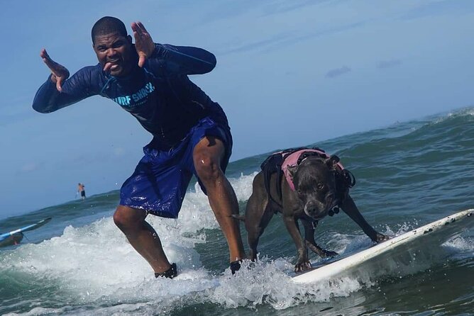 Surf With a Service Animal - What to Expect During Your Session