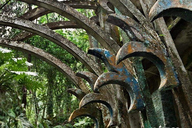 Surrealist Garden of Edward James, Castle of Health and Xilitla Nativity - Participant Information