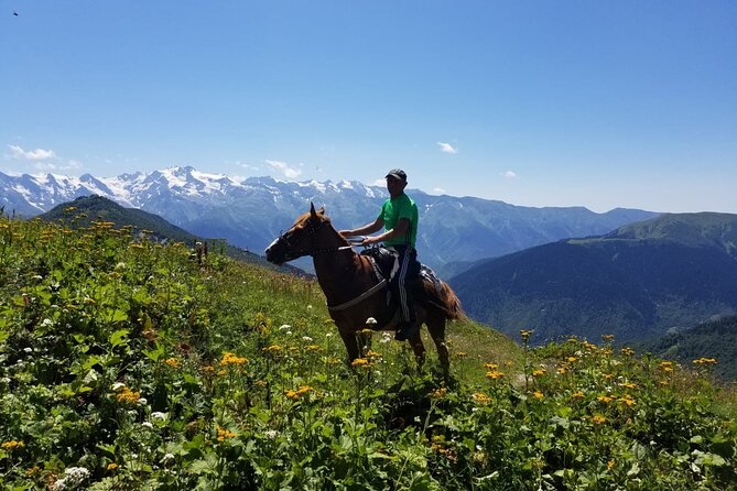 Svaneti Mountain Villages 4x4 Safari, Tour From Kutaisi - Customer Support and Assistance