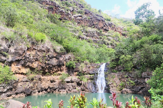Swim at Oahu Waterfall in Waimea With Coffee, Lunch and Dole - Bottled Water and Beverages