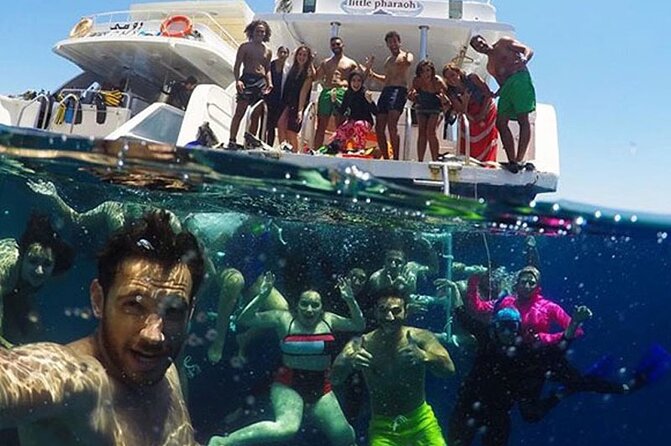 Swimming Close to Wild Dolphins From Hurghada - Transfer Details
