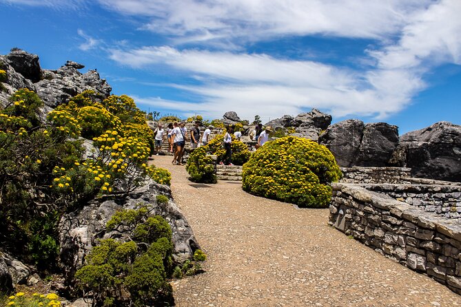 Table Mountain Tour - Exploring the Summit Trails