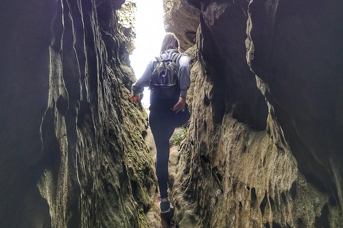 Table Mountain: Tranquility Cracks Full Day Hike - Guided Tour With Inclusions