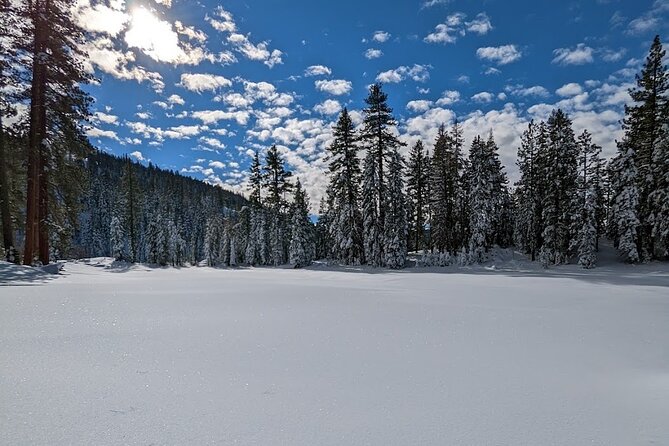 Tahoe National Forest Moonlight Snowshoe Tour Under a Starry Sky - Required Gear and Accessibility