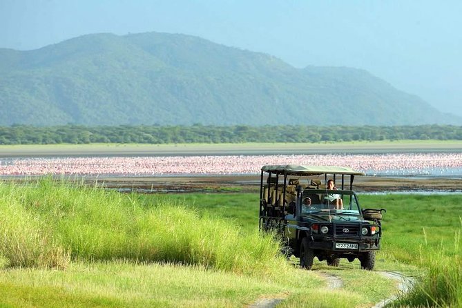 Tanzania 4 Days 3 Nights Budget Camping Safari to Serengeti and Ngorongoro - Accommodation Details