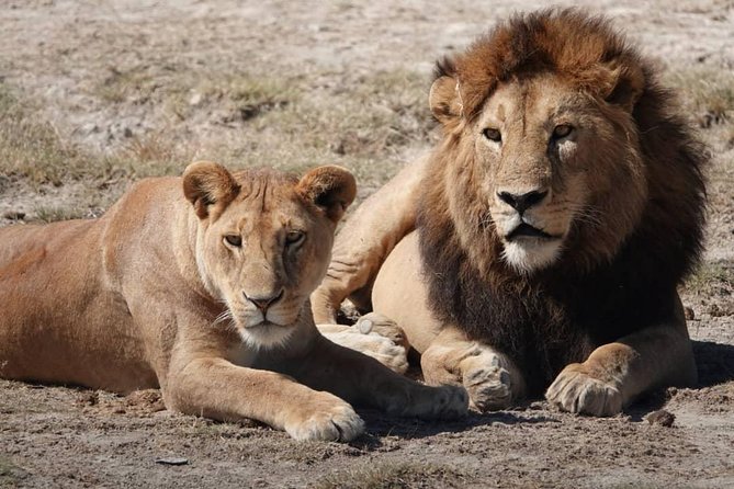 Tarangire National Park: Guided Day Tour From Arusha - Comfortable and Reliable Transportation