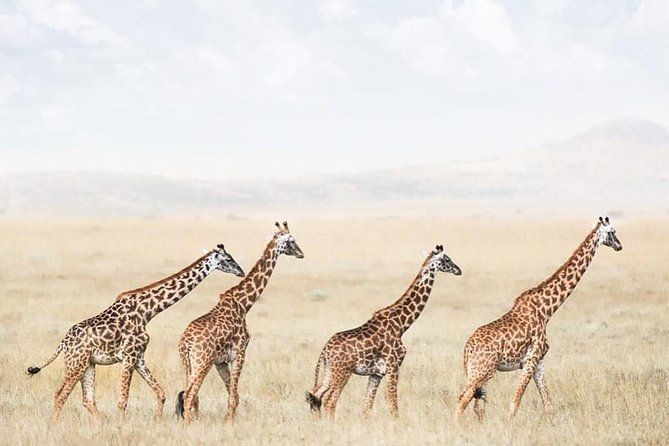 Tarangire & Ngorongoro 2 Days Tour - Exploration of Ngorongoro Crater