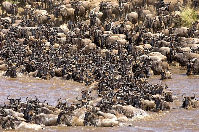 Tarangire -Serengeti & Ngorongoro Crater Budget Camping Safari - Accommodation Details