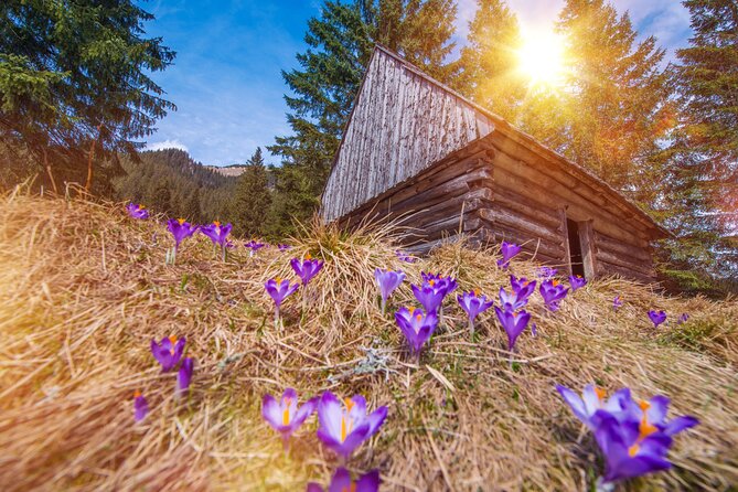 Tatra Moutains and Zakopane Tour From Krakow - Pickup Information