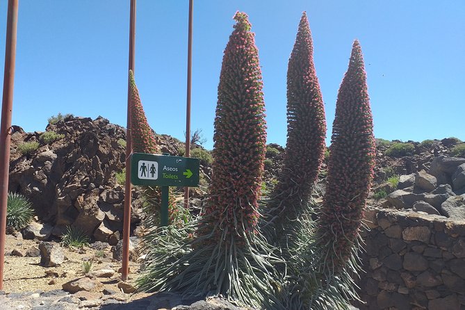 Teide Tenerife'S Jewel - Transportation Features