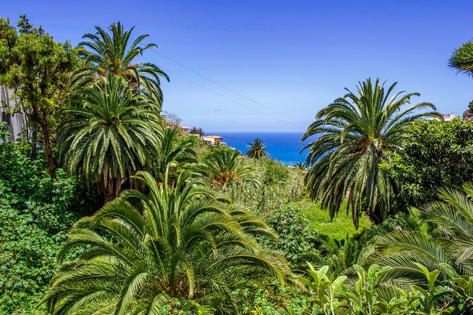 Tenerife: Anaga, San Cristobal Small-Group Full-Day Tour - Group Size and Experience