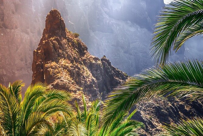 Tenerife Luxury Car Rental Review - Meeting and Pickup Information