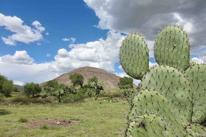 Teotihuacan Pyramids & Basilica of Guadalupe - Accessibility and Participation