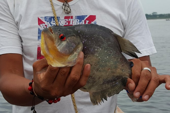 The Adventure Begins Here - Iquitos Amazon Tours - Traveler Reviews and Experiences