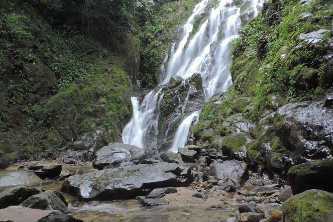 The Anton Valley Tour From Panama City - Wildlife Rehabilitation at Nizpero Zoo