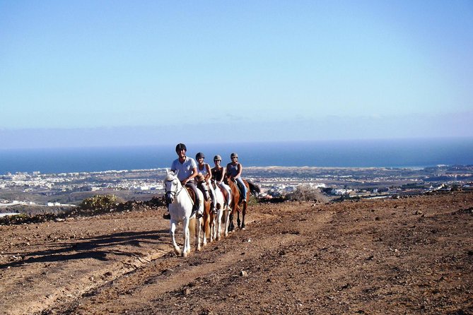 The Best Horse Riding Experience in Gran Canaria (1 Hour) - Suitability for All Riders