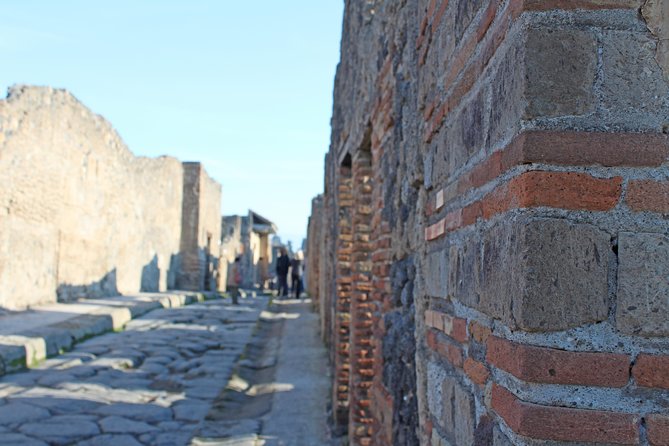 The Best of Campania in 2 Days: Amalfi Coast, Pompeii, Herculaneum & Vesuvius - Uncovering Herculaneum