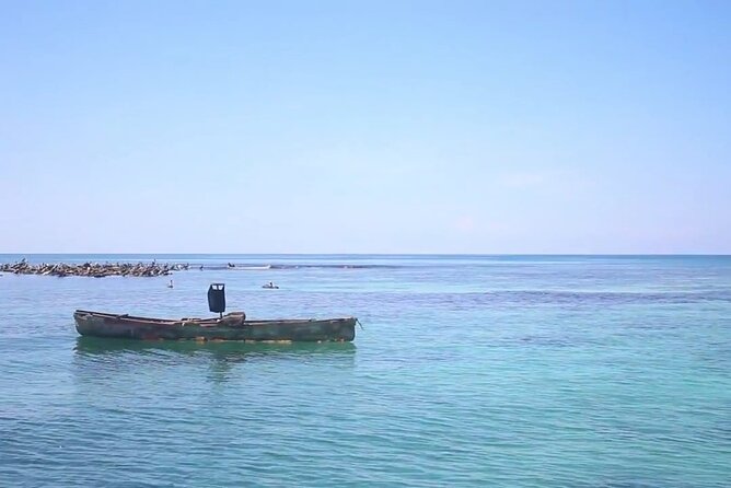 The Bluefields Experience: Organic Farm, Beach & Coral Reef - Savoring the Fresh Lunch