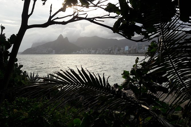 The Christ the Redeemer, the Sugar Loaf and the Beaches of the South Zone - Corcovado Train to Christ the Redeemer