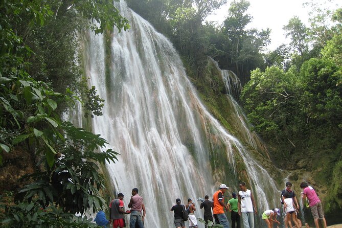 The Enchanting Journey to El Limon Waterfall and Bacardi Island - Transportation and Meeting Point Details
