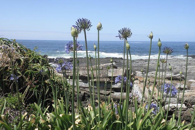 The Garden Route From Port Elizabeth to the Crags - FD07 - Included Highlights