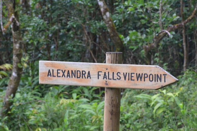 The Gorgeous South of Mauritius: Full-Day Tour Incl Tea Factory & Crocodile Park - Discovering Crocodile Park