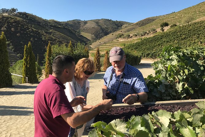 The Luxury Douro Tour - Contact for Inquiries