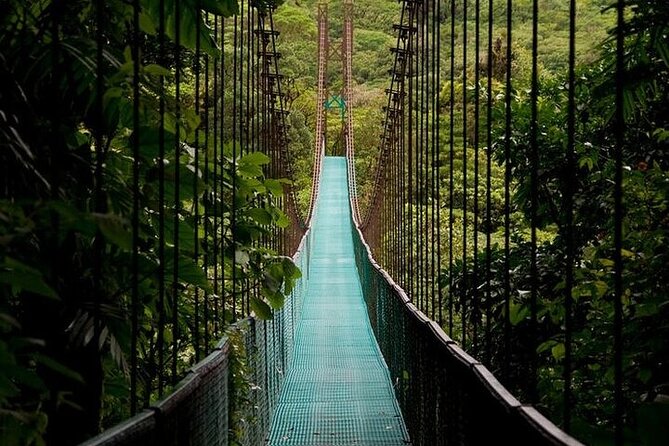 The Mistico Hanging Bridges - Traveler Reviews and Ratings