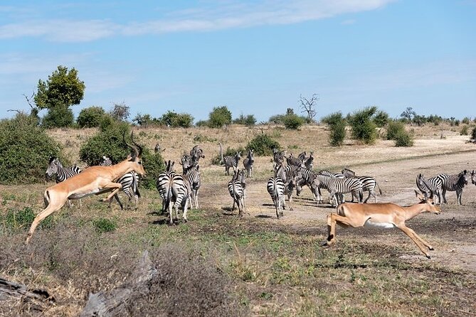 The Mosi Oa Tunya National Park Game Drive - Scenic Game Drive Route