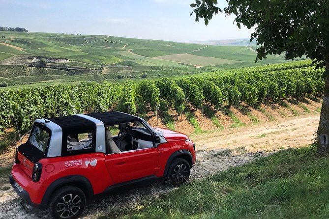 The Must-Sees 3h30 From Epernay (Private Half Day Champagne Tour) - Tasting Premier and Grand Cru Champagnes
