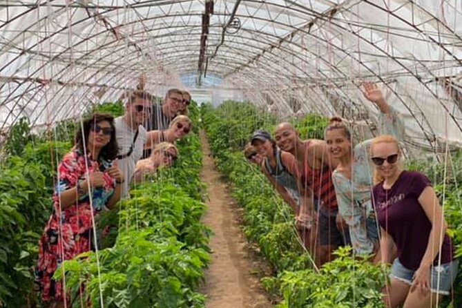 The One&Only Hot Farm Review - Accessibility and Participation