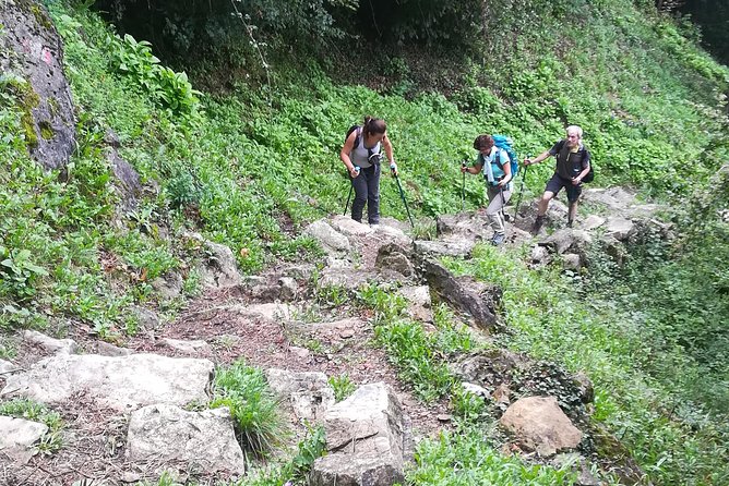 The Path of the Wanderer: From LIERNA to VARENNA - Marveling at the Lake Como Scenery