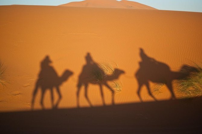 The Private 2 Days Desert Tour Fez to Merzouga - Accommodation and Dining