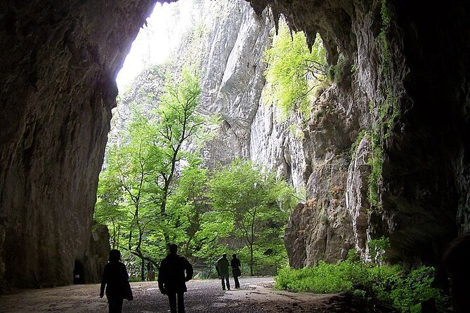 The ŠKocjan Caves - World Heritage (Up to 8 Persons) - Private Tour Experience Details