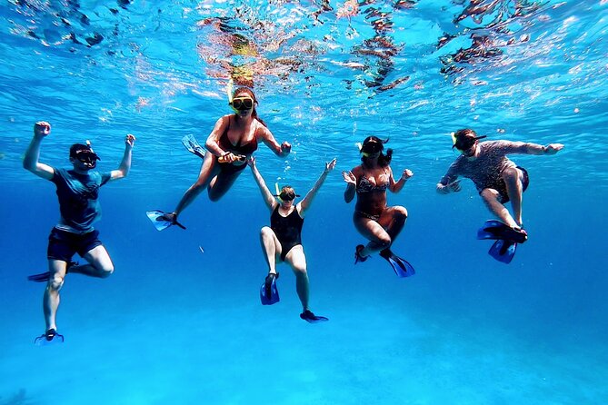 The Sky Cozumel Snorkeling by Private Boat - Customer Feedback and Experiences